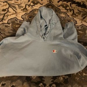 Champion hoodie. Brand new. Size XL for super oversized fit.